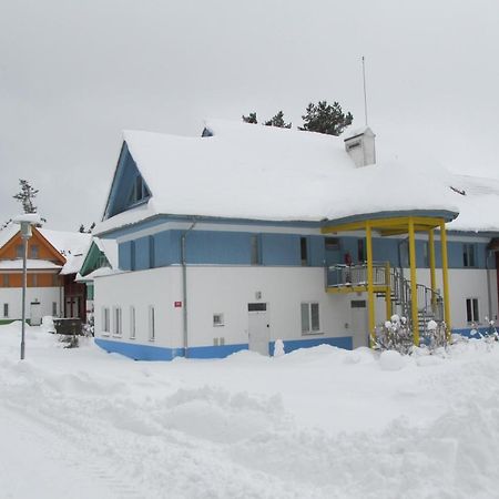 Apartament Apartman Riviera Lipno nad Vltavou Zewnętrze zdjęcie