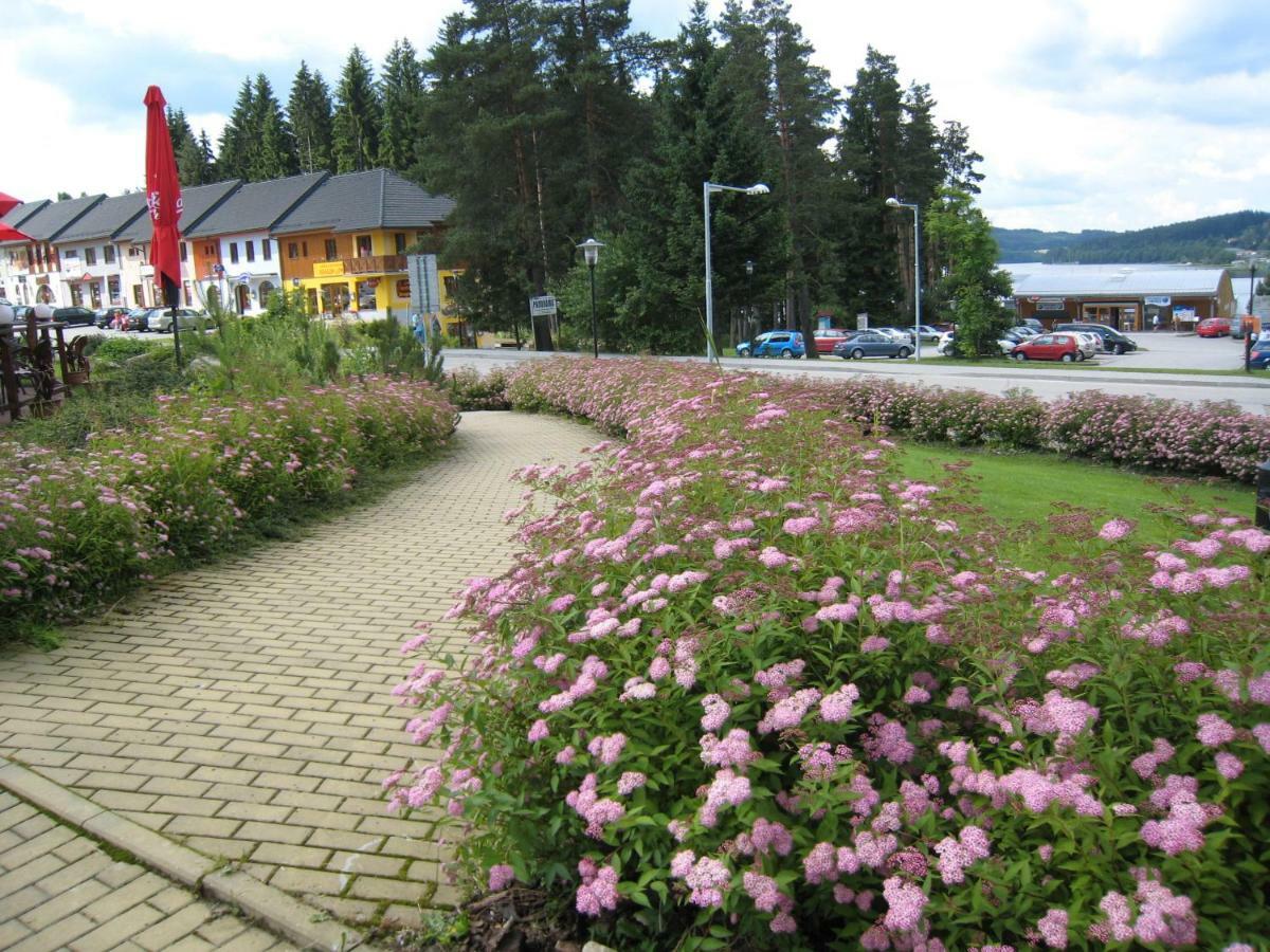Apartament Apartman Riviera Lipno nad Vltavou Zewnętrze zdjęcie