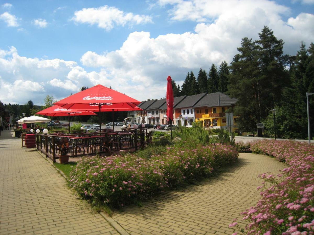 Apartament Apartman Riviera Lipno nad Vltavou Zewnętrze zdjęcie
